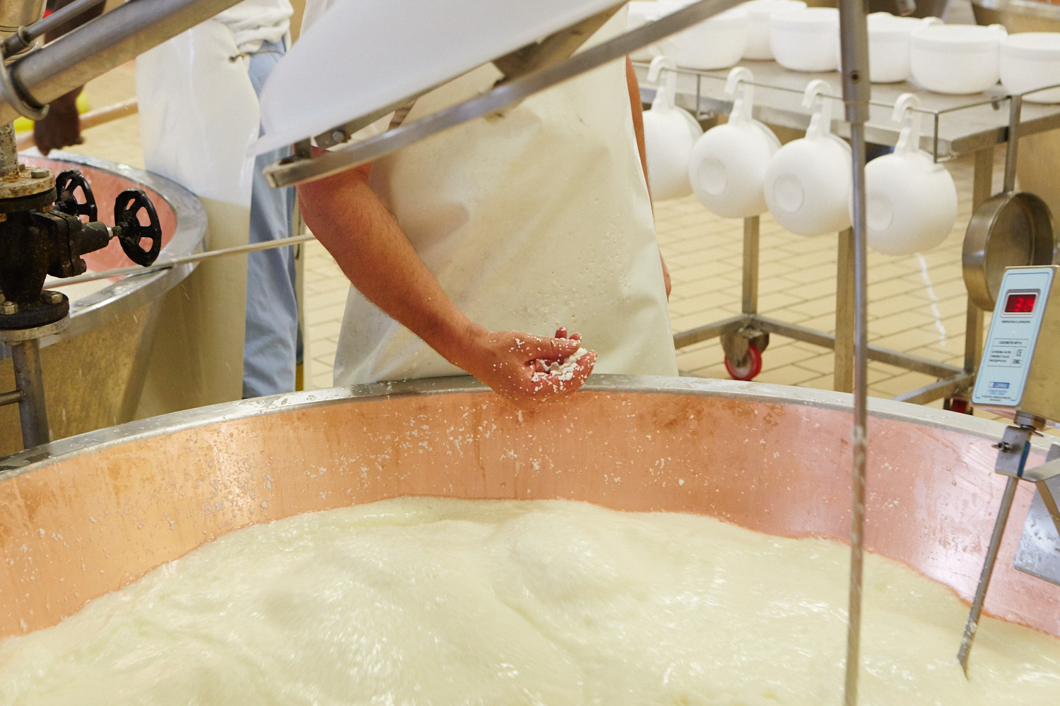 Start din egen parmesan fabrik. Så nemt er det.
